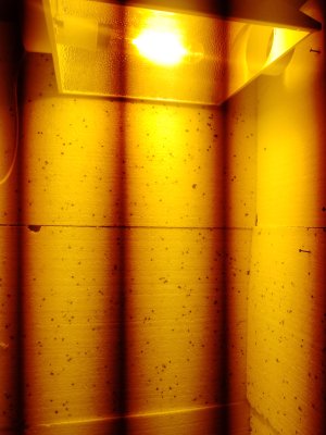 IMG_20250111_110608_309.jpg