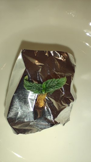 1000365399.jpg 1000365399.jpg