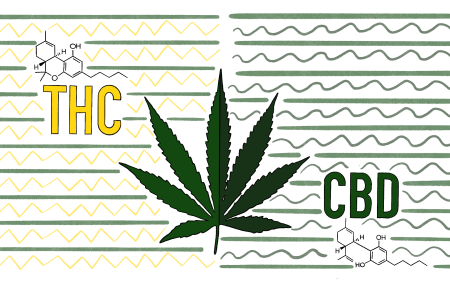 1747988217822.png 1747988217822.png