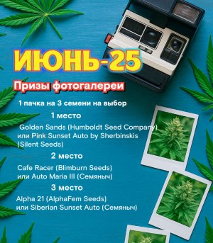 июнь-анонс.jpg