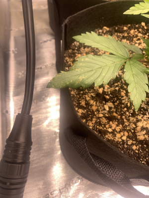 растихе плохо.png