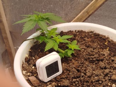 WhatsApp Image 2025-06-26 at 12.17.22.jpeg