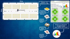 1000019595.jpg 1000019595.jpg