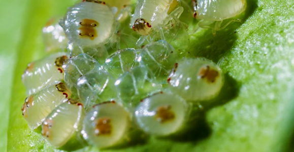 1651772016541.png 1651772016541.png