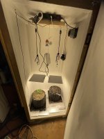 IMG_0463.jpeg