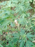 IMG_20250913_063002_018.jpg