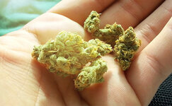 svet-i-degradaciya-tgk__CeRWAjq1IbyuMkR4.jpg svet-i-degradaciya-tgk__CeRWAjq1IbyuMkR4.jpg