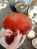 IMG_20251016_105707_443.jpg