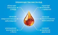 Preimushestva-masla-CBD__Cp9IRrRIpxyFszSi.jpg