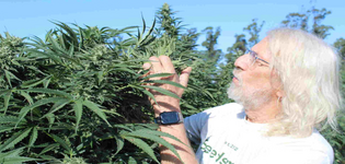 1762541754058.png 1762541754058.png