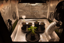 1762541911012.png 1762541911012.png