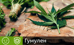gumulen__Pfck3rwd09qWH7ZH.jpg