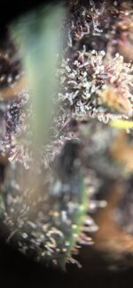 75_mjdj-1c_eB24m1y2X39YfjaEoncTBF81p7e1TLg0erjniU9QAcYYyVBKLUcDTDSyBDl_pzvkJoHJkFp4K6AsB.jpg