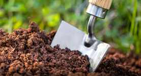 1766508945845.png 1766508945845.png