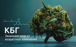 Kannabigerol__e7TIGZoLqizqpVKm.jpg Kannabigerol__e7TIGZoLqizqpVKm.jpg