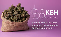 Kannabinol__SoXbrt7OtNF6SrM4.jpg Kannabinol__SoXbrt7OtNF6SrM4.jpg