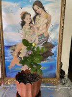 IMG_2495.jpeg IMG_2495.jpeg