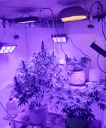 20260123_073530.jpg 20260123_073530.jpg