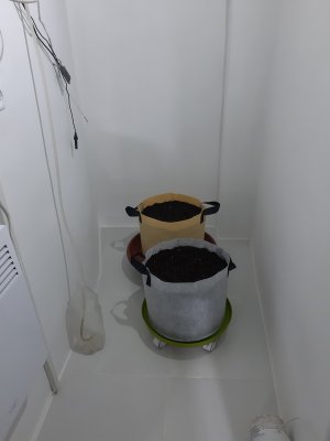 20220613_214556.jpg