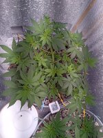 20260326_073138502.jpg 20260326_073138502.jpg