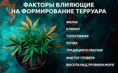 Kakie-faktory-vliyayut-na-formirovanie-terruara__puQjlG8X3hOfa4lZ.jpg