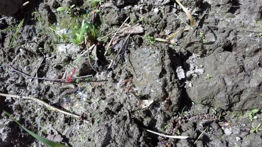 20160415_013442.jpg 20160415_013442.jpg