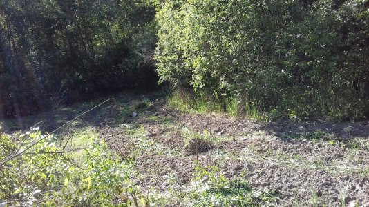 20160415_041340.jpg 20160415_041340.jpg