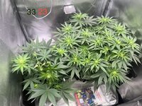 IMG_0280.jpeg