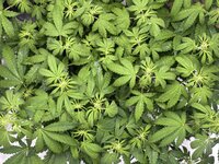 IMG_20261013_232315.jpg