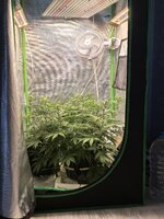 IMG_20261018_085142.jpg