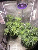 IMG_7012.jpeg