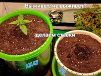 1000022596.jpg