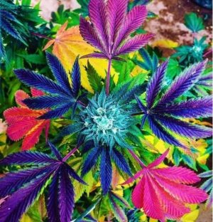 ФОТО3.jpg ФОТО3.jpg