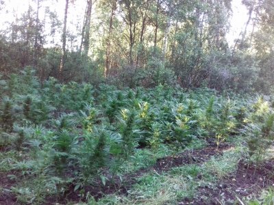 20160528_061307.jpg 20160528_061307.jpg