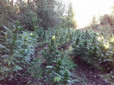 20160528_061036.jpg 20160528_061036.jpg