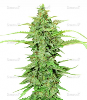 1660136493552.png 1660136493552.png