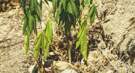 1666102081649.png 1666102081649.png