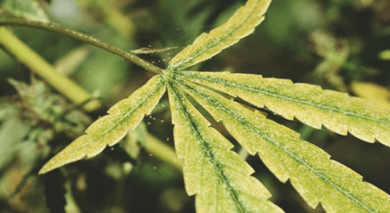 1666102388279.png 1666102388279.png