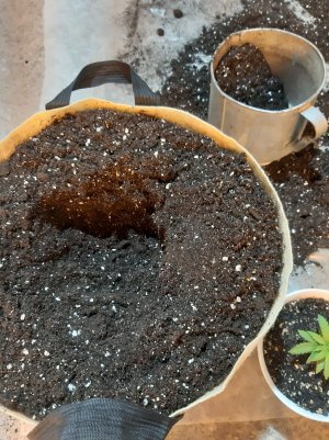 20221117_093451.jpg 20221117_093451.jpg