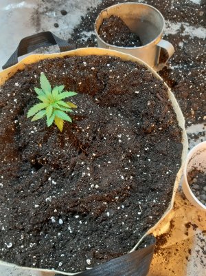 20221117_093543.jpg 20221117_093543.jpg