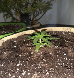 20221117_143228.jpg 20221117_143228.jpg