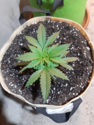 20221118_110003.jpg 20221118_110003.jpg