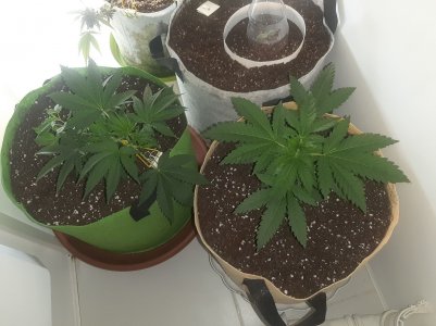 20221118_113745.jpg 20221118_113745.jpg