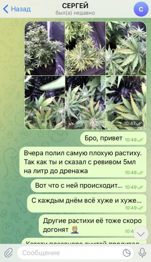 DFF79E5C-46ED-4E0D-91C8-0AD43268D1DA.jpeg