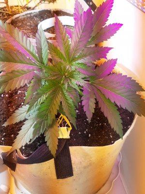 20221119_120105.jpg 20221119_120105.jpg