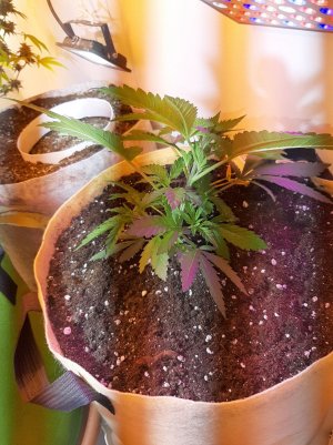 20221119_120158.jpg 20221119_120158.jpg