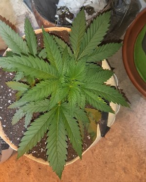 20221119_122135.jpg 20221119_122135.jpg