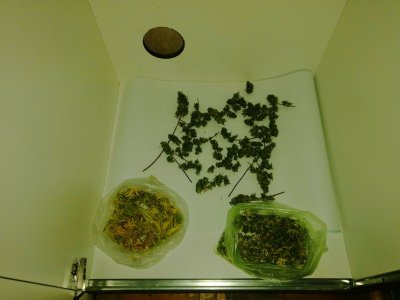 IMG_20221121_134446.jpg
