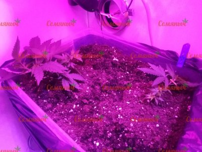 2228-wm-45272_watermarked.jpg
