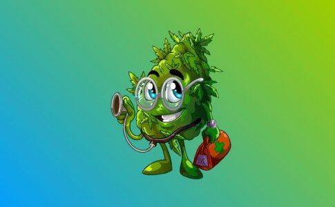 Все о питательных веществах для конопли Все о питательных веществах для конопли